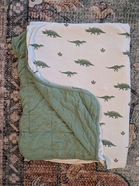Kyte Toddler Blanket - Dino